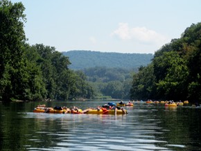 IMG 0578